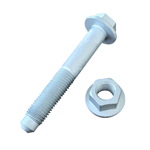 SOMUN VE MAKAS SAPLAMASI