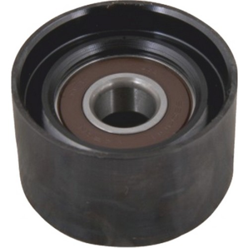 KAYIŞ GERGİ KASNAĞI 