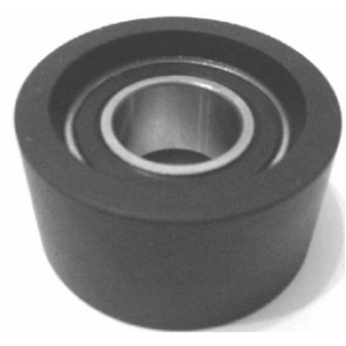 KAYIŞ GERGİ KASNAĞI 