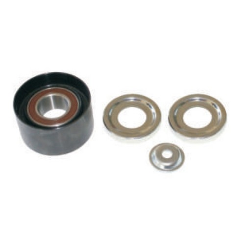 KAYIŞ GERGİ KASNAĞI 